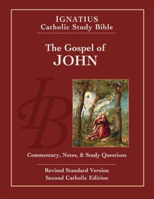 The Gospel of John Paperback Scott, Mitch, Curtis Hahn
