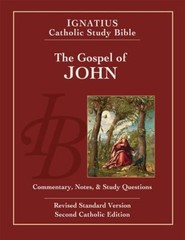 The Gospel of John Paperback Scott, Mitch, Curtis Hahn