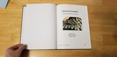 American stoneflies: A photographic guide to the Plecoptera by Bill P. Stark