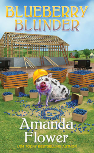 Blueberry Blunder (An Amish Candy Shop Mystery) – Mass Market Paperback – GOOD