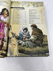 The Action Bible: God’s Redemptive Story Illus: Sergio Cariello New Hardcover