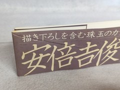 Yoshitoshi Abe first edition Art Book Guri no Machi Haibane no Niwa de