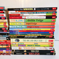 Boys 3rd/4th/5th/6th Grade Chapter Books Lot of 42 Homeschool PB Scholastic