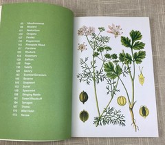 Herbal Handbook Cookbook Recipes Tinctures Teas Balms Botanical Garden Art