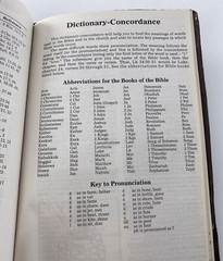 HOLY BIBLE NKJV Red Letter Nelson Dictionary Concordance Burgundy 1980 