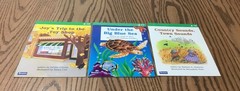 SAXON PHONICS & SPELLING STUDENT READERS / 26 BOOKS / GRADE 1 / LEVEL C