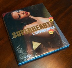 Superbeauty J. Stephen Hicks Glamour Photo Book OOP Rare Digital Desire Skylight