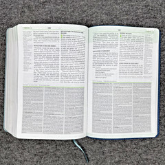 Christian Standard CSB Disciple’s Study Bible Navy/Mist LeatherTouch Holman HTF