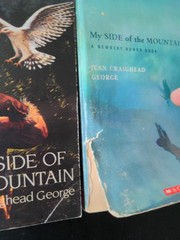 Lot of 10 My Side of the Mountain +1 by J C George Guided Reading Class Set Lot