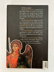 Manual do Guerreiro Da Luz (paperback in Portuguese 154 pages clean no damage)
