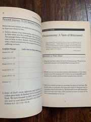 THE BIBLE JESUS READ Participant’s Guide: An 8-Session Exploration of the O.T.