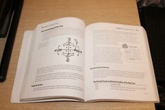 The Complete Idiot’s Guide Ser.: The Voodoo by Shannon R. Turlington (2001, Trad