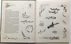 VTG Rand McNally lot 3 Album of Sharks Astronomy Dinosaurs Tom McGowen Rod Ruth