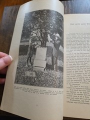 Rare 1922 First Edition „Starting Right with Bees”