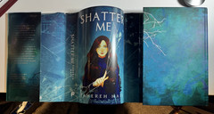 Shatter Me Fairyloot Edition Tahereh Mafi Reversable Dust Jacket NOT IN PRINT