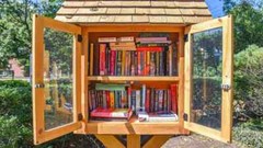 Instant Little FREE Library BOOKs~Value Lot~U PICK GENRE Mix~Fiction/Nonfiction