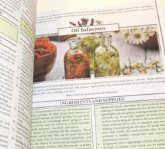Forgotten HOME APOTHECARY 250 Powerful Remedies Nicole Apelian SB 2024 Preppers
