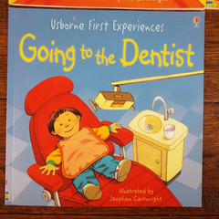 Lot 11 Usborne Easy Words to Read/Phonics Readers First Experiences Books