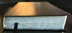 NIV Student Bible Revised Compact Edition (Leather, 2002)