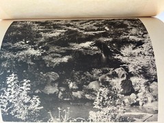 Japanese Chashitsu Tea House Architecture Garden 1930’s vintage photos drawings