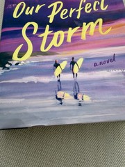 EUC Our Perfect Storm By Carley Fortune Hardback