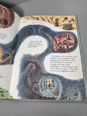The Troll Book by Michael Berenstain Vintage 1980 HC 1st Edition As-Shown