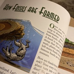 Dinosaur Released, The True Story About Dinosaurs And Humans Lyons & Butt 2nd Ed