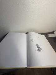 Anatomy for the Artist Jeno Barcsay Hardcover Essential Art Ser. 2003 Illus.