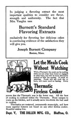 1914 Culinary Echoes From Dixie Cook Book 282 Pages