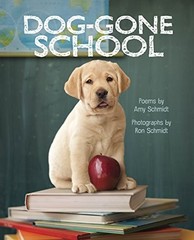 Dog-Gone School, Ron Schmidt