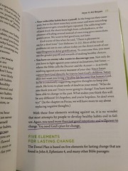 The Daniel Plan Ser.: The Daniel Plan : 40 Days to a Healthier Life