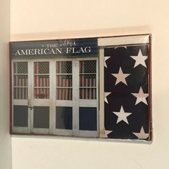 The American Flag Book and Gift Set – Sterling Publishing 3′ x 5′ Flag Included