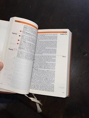 Vintage 1977 IN World Guide – Over 500 Pages In Compact Edition