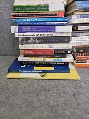 Big RANDOM MIX Lot 42 Paperback Fiction & Nonfiction Literature Mix Of Titles