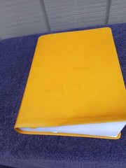 CBS Christian Standard Lifeway Women’s Bible Marigold LeatherTouch READ DESCRIPT
