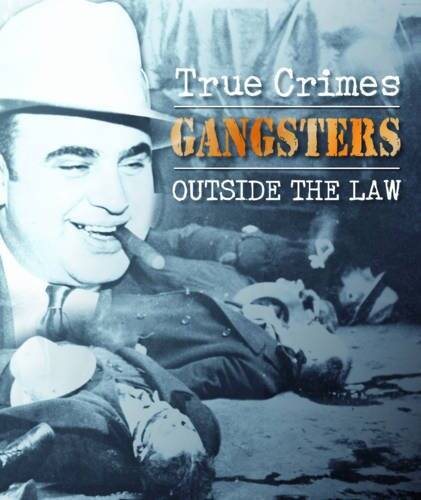 Gangsters: Outside the Law (True Crimes) – Hardcover By Michael Newton – GOOD