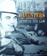 Gangsters: Outside the Law (True Crimes) – Hardcover By Michael Newton – GOOD