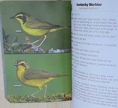 Birds of Kentucky Field Guide by Stan Tekiela 2022 Illustrated Paperback Book