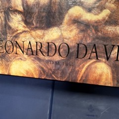 Leonardo Da Vinci by D. M. Field Multicolor Illustrated Hardcover Book