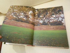 LUCCA AND ITS WALLS 2013 HARDCOVER LELLI KELLY 294 PAGES ISBN ‎ 978-8896527153