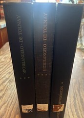 Michelangelo 3 Volume set (Youth, The Medici Chapel, The Tomb of Julius II)
