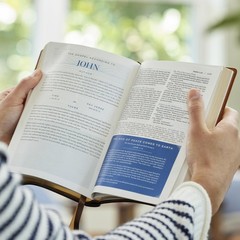 Peace of God Bible: Discover and Experience God’s Shalom Throughout the Bible