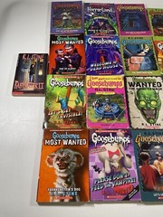 Goosebumps RL Stine Book Lot Of 17 Multiple Titles Preowned Horror Scary Stories
