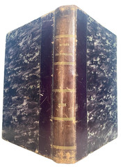 Antique Book „MUSÉE DES FAMILLES” From The Year 1888 Paris Bound Volumes Magazin