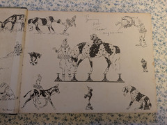 Crazy Quilt: A Story of A Piebald Pony, Illustrated, Paul Brown 1934