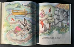 The Tortoise and the Hare by Janet Stevens 1984 HC/DJ 1st Edition