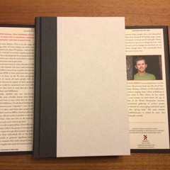 The $ 100 Startup By Chris Guillebeau Hardcover Book First Edition (2012)