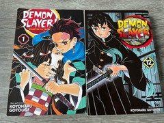 🔥 Demon Slayer • Kimetsu No Yaiba – Vol. 1 & 12 • Manga Anime