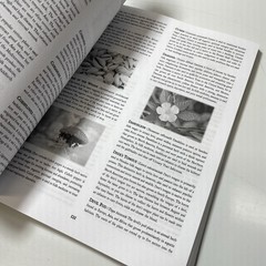 The Hoodoo Bible: 7-in-1 Root Doctor’s Companion to Black Folk (x5)