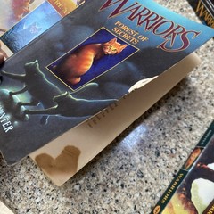 Warriors Erin Hunter Lot 40 Books Complete Sets Super Editions 1st Edition DIRTY